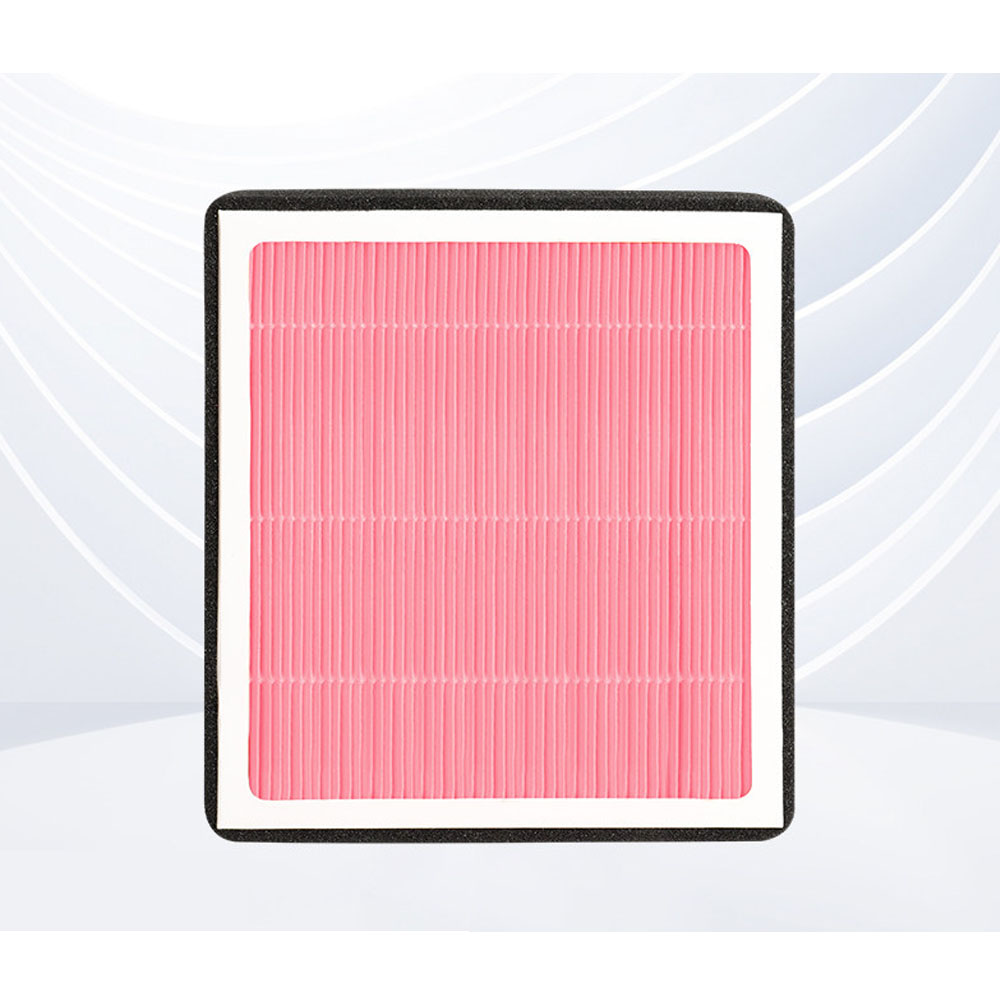 For BAIC JISHI ROX 01 2024-202 - đánh giá và giá Filter Replacement N95
